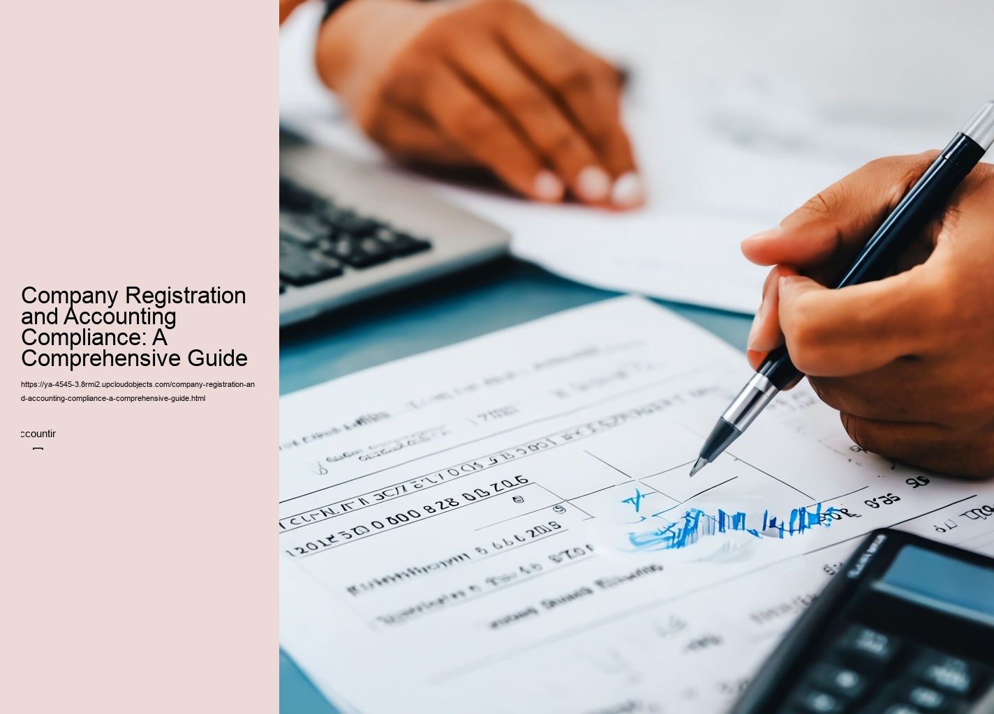 Company Registration and Accounting Compliance: A Comprehensive Guide